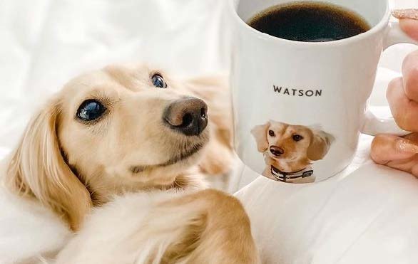 Golden dog next to a custom portrait mug of the same dog, named Watson